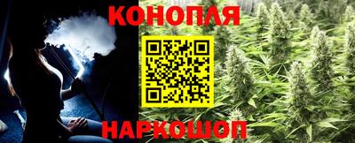 PSILOCYBIN Бугуруслан
